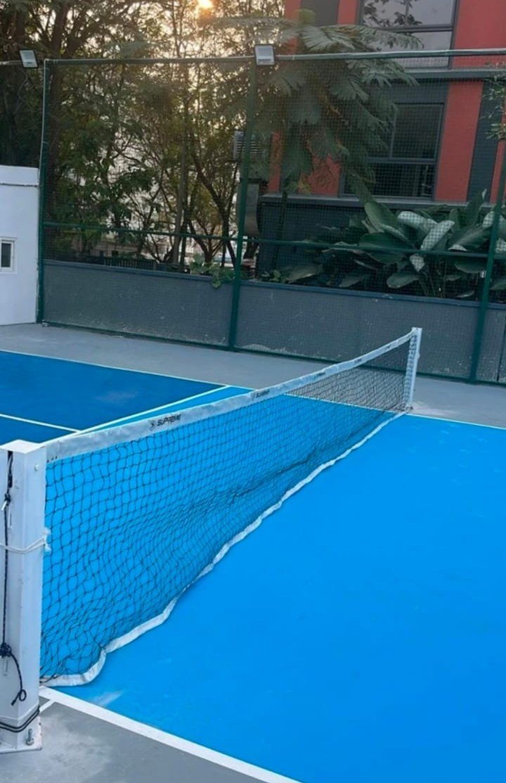 pickle ball net